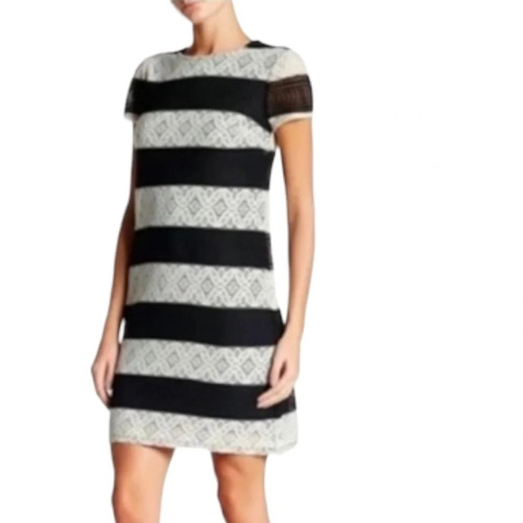 Maggy London Dresses & Skirts - Maggy London Cream Black Striped Lace Sheath Dress